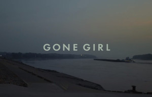 Fast Film Review: Gone Girl