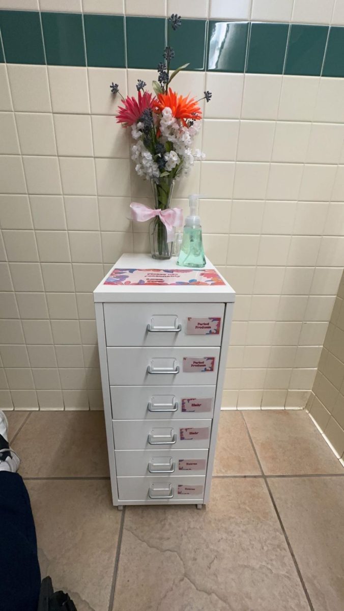 Girls' Bathroom Makeover
