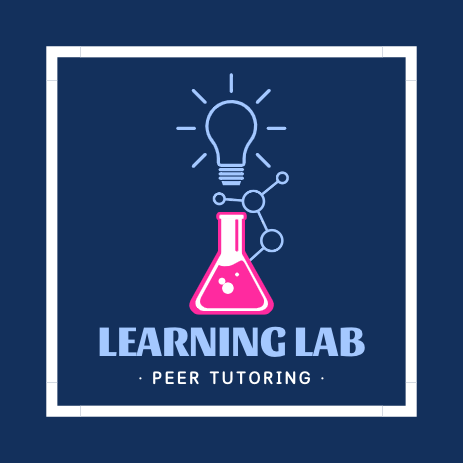 The Learning Lab