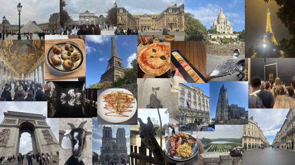 My Experience in France Through Pictures